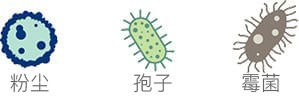 OUR TECHNOLOGY-mandarin-five-ways-2